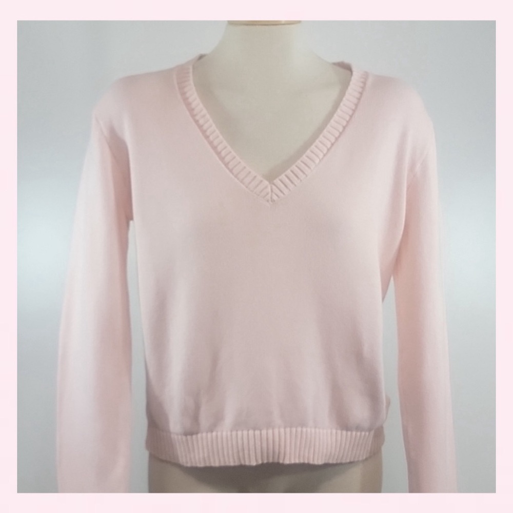 ౨ৎ Light pink Brandy Melville v neck sweater